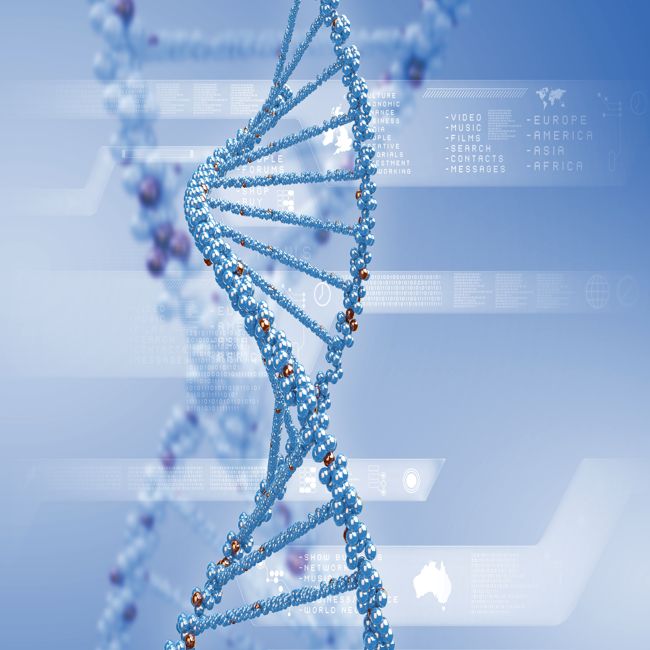 Nieuw eiwit voor DNA-reparatie ontdekt
